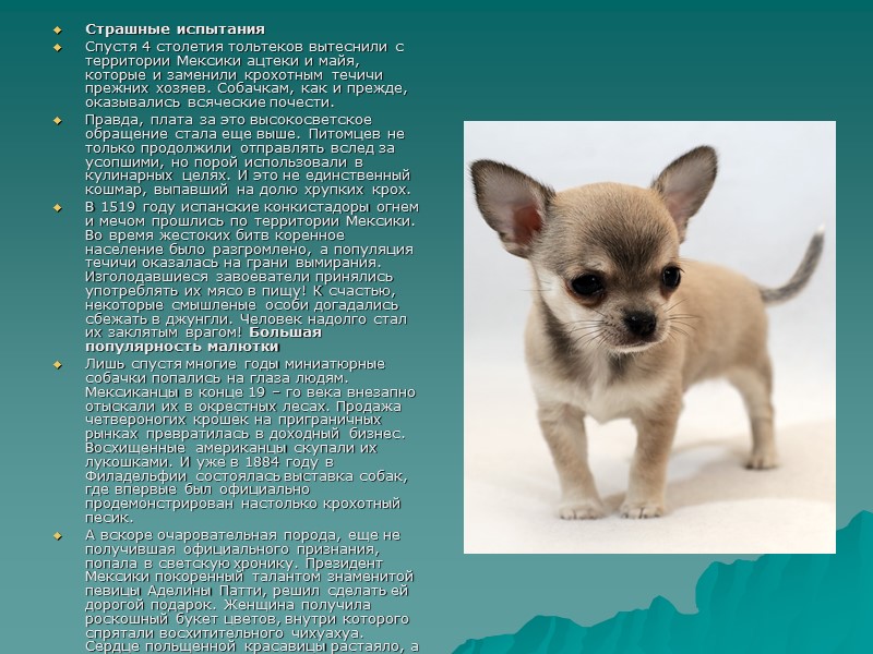 Страшные испытания Спустя 4 столетия тольтеков вытеснили с территории Мексики ацтеки и майя, которые Страшные испытания Спустя 4 столетия тольтеков вытеснили с территории Мексики ацтеки и майя, которые